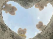 luusq的个人资料头像