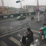 qqww小雨头像