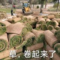开幕囤头像