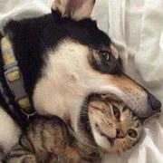 奇迹天下的个人资料头像