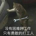娱乐吃瓜仔头像