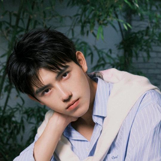 聪明的青山dFD头像