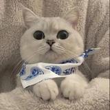 不可能画饼头像