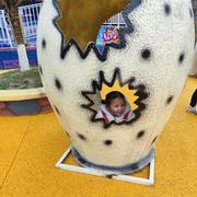 码神入世的个人资料头像