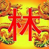 一路有你14116头像