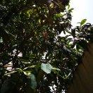 egg不想说话57118的个人资料头像