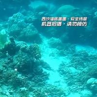 九大爷平台-济南服务商-朱封杰头像