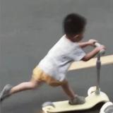 鹿晨头像