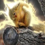 Airon的个人资料头像