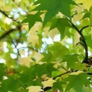 婷姐的个人资料头像