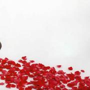 cchenggo的个人资料头像