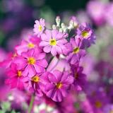 龙城记忆123头像