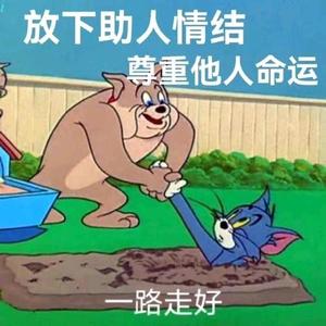 乐天派清风u头像