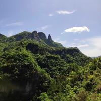 野村乌鸦头像