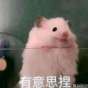 鼠鼠的个人资料头像