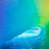 碎心逐梦4488头像