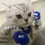黑椒黄瓜灬头像