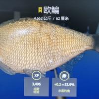 糊糊的老爸头像