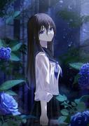 Becutie的个人资料头像