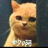 邓开心头像