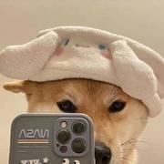 居然485的个人资料头像