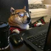 对方正在长头发225的个人资料头像