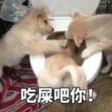恶龙咆哮呦头像