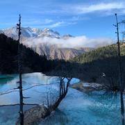 爱踢球的双鱼的个人资料头像