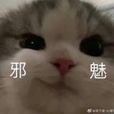 金金克瑞斯头像