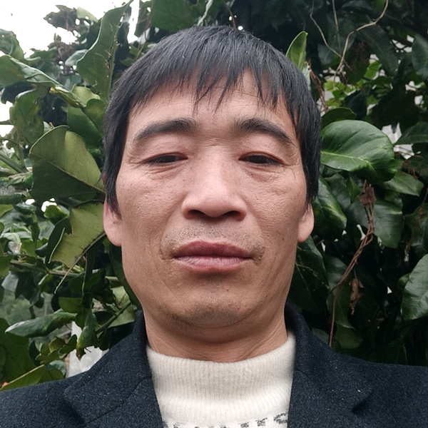 刚哥个护家清好物推荐头像