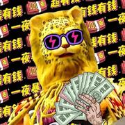 什么鬼681的个人资料头像