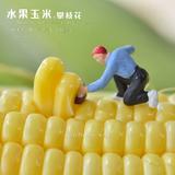 我是笨熊头像