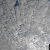 逸晨7569头像