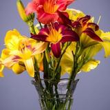 壹切随缘成头像