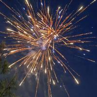 单纯画板zXC头像