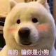 取个名字咋这费劲头像