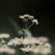 jiuli0578的个人资料头像