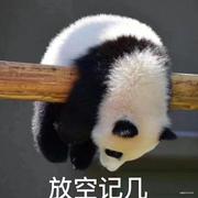 daydream的个人资料头像