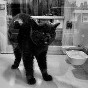 趙為的个人资料头像