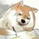 田小晖的个人资料头像