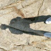 杨四岁的个人资料头像