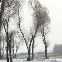 昔日的旧梦头像