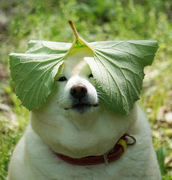 正在载入中__的个人资料头像