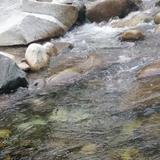 幸福极速海风头像