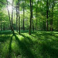 爱以不爱842头像