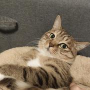 Maskey的个人资料头像