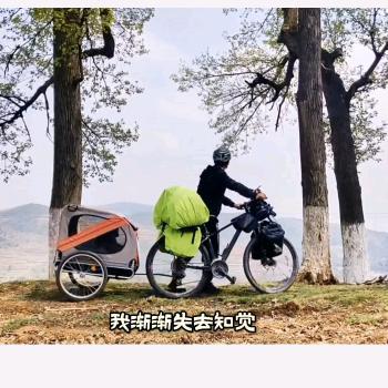 辛信的故事头像