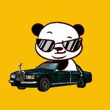 科学熊猫car头像