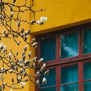 杨昆仑672的个人资料头像