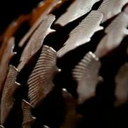 肥猫495的个人资料头像